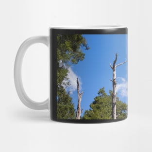 reaching high Mug